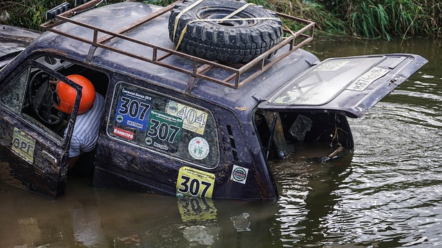 以及坚定的 以及坚定的