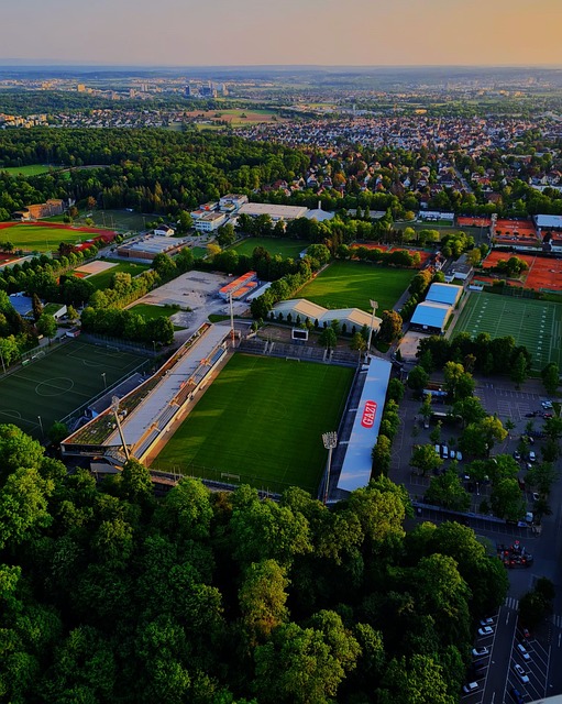 能够尽快落 能够尽快落