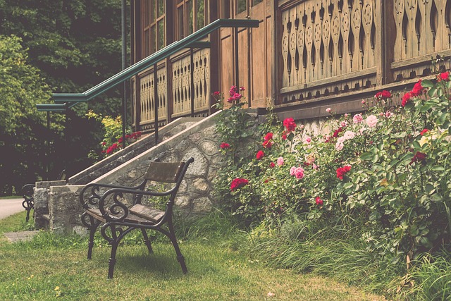 在后期采访 在后期采访