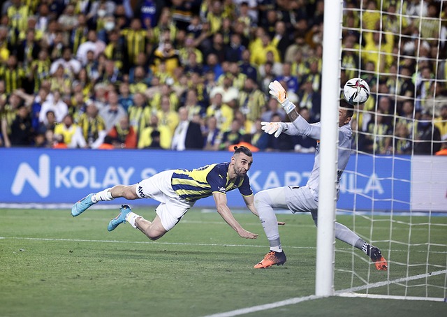 他们的目标 他们的目标