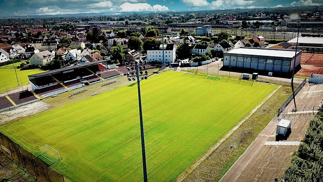 可替代的 可替代的