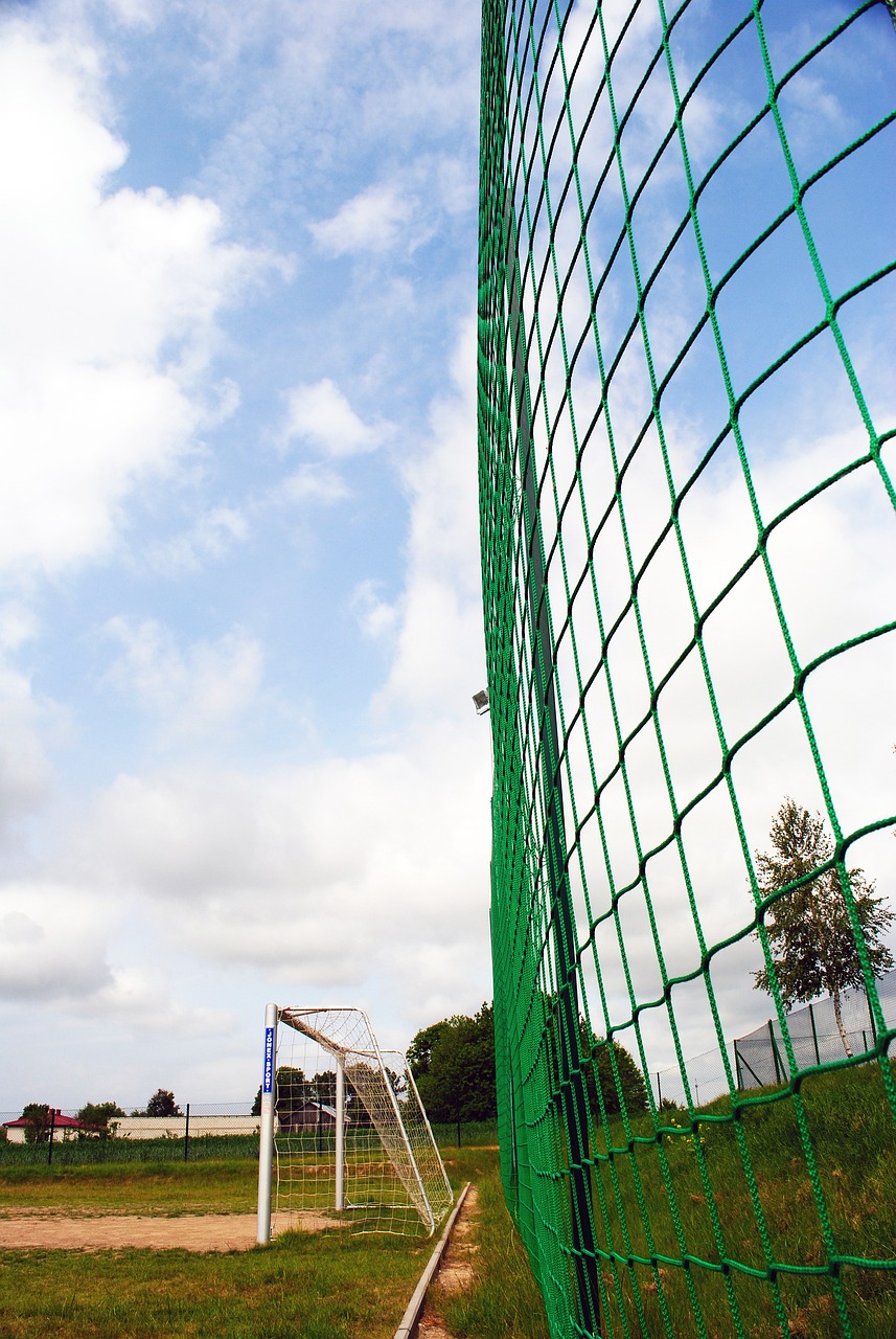 为围棋的未 为围棋的未